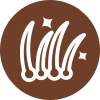 icona dei capelli